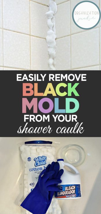 Easily Remove Black Mold from Your Shower Caulk • Organization Junkie