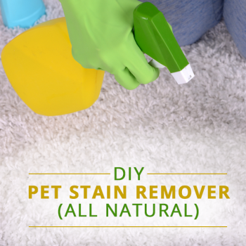 Best ways to remove carpet stains-pet stains