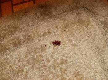 10 Clever Ways to Remove Tricky Carpet Stains 