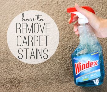 10 Clever Ways to Remove Tricky Carpet Stains 