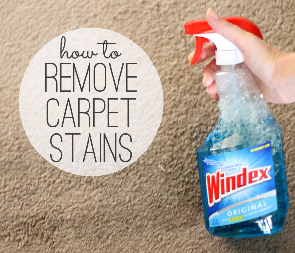 Best Ways To Remove Carpet Stains DIY, Tips And Tricks,