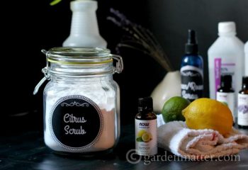 10 Homemade Cleaners Made from Essential Oils