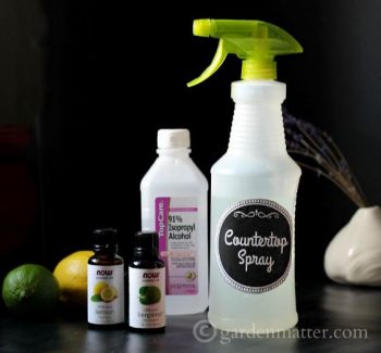 10 Homemade Cleaners Made from Essential Oils5