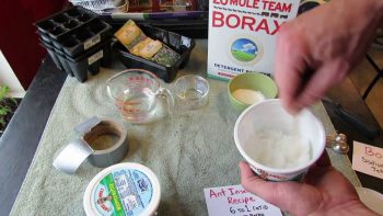 15 +Ways to Use Borax in Your Home