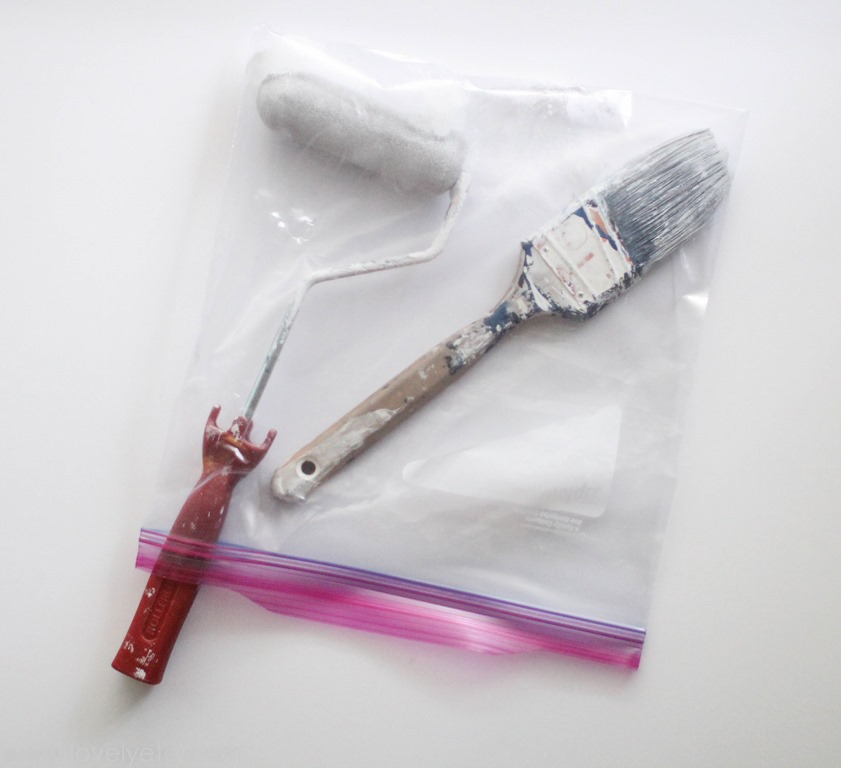 10 Brilliant Ways to Use Ziploc Bags Around Your Home • Organization Junkie