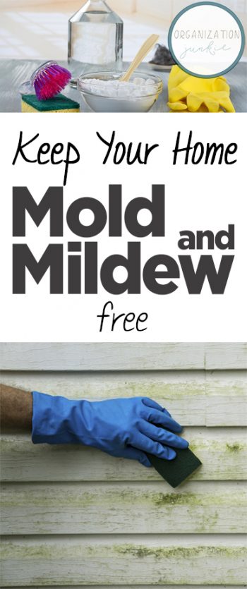 Keep Your Home Mold and Mildew Free| Cleaning Mold and Mildew, How to Clean Mold and Mildew, Cleaning Tricks, Home Cleaning Tips, Clean Your Home, How to Clean Your Home, Removing Mold and Mildew from Your Home, Clean Home Hacks