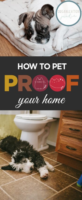 How to Pet Proof Your Home| Pet Proof Your Home, Simple Ways to Pet Proof Your Home, DIY Pet Proof, Pet Proofing Hacks, How to Pet Proof Your Life, Popular Pin