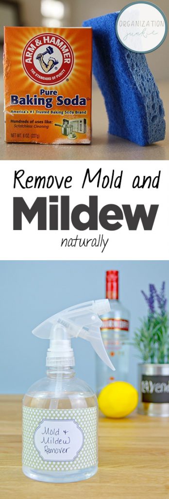 Remove Mold and Mildew Naturally| Mold Removal, How to Remove Mold and Mildew, Natural Cleaning, Natural Cleaning Recipes, Cleaning, Cleaning Tips and Tricks #Cleaning #MoldandMildew