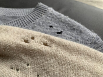 Holes in sweaters caused by moths