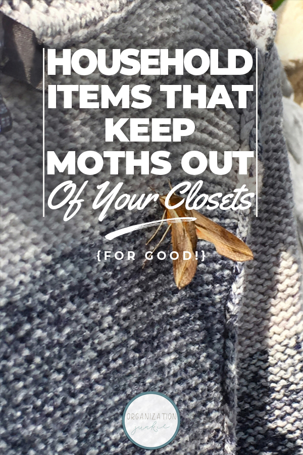 Keep Moths Out Of Your Closets | clean | moths | pest control | tips and tricks | moth control 