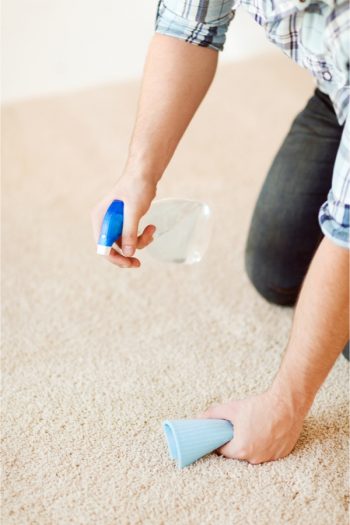 Have you ever spilled eggnog on the carpet? It's the worst, and it's so hard to clean up! These are the best tips on how to clean up spilled eggnog. 