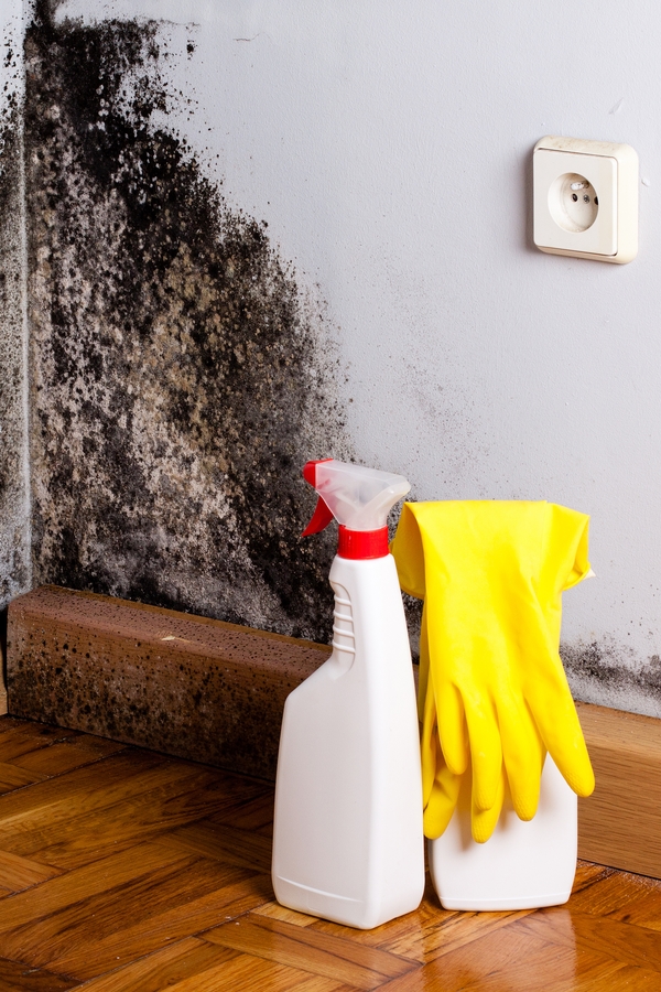 Mold is a sneaky home invader. You may have it growing in your home and not even realize it. But when you do discover it, how do you get rid of it? Today we have tips for cleaning mold that are proven to work. 