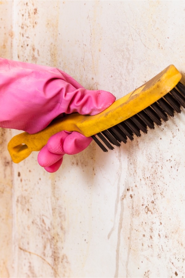 Mold is a sneaky home invader. You may have it growing in your home and not even realize it. But when you do discover it, how do you get rid of it? Today we have tips for cleaning mold on wood and so much more. 