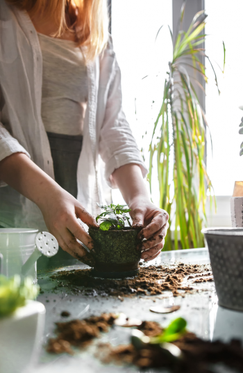 You may be wondering how to create a hobby space in your home? It can be tricky! I'll help you gather all the necessities so you can garden in your space! 