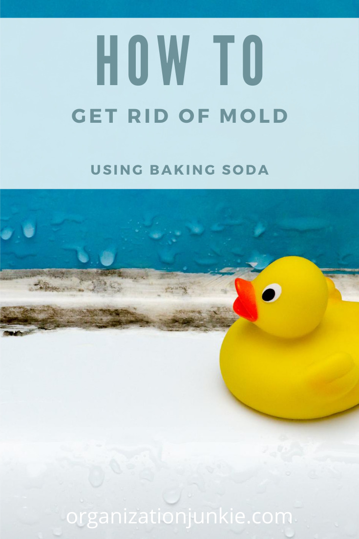 Kill mold and mildew with only two household ingredients. (Or three if you want to add some essential oils.) #organizationjunkieblog #mold #getridofmildew